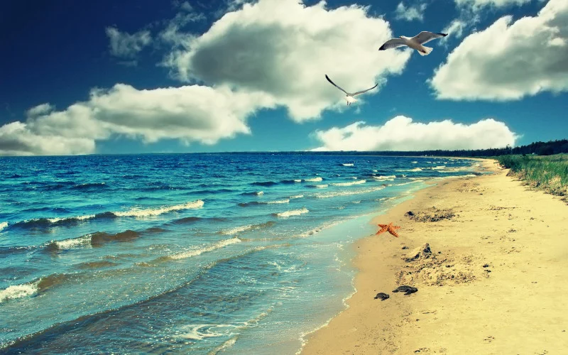 Test 