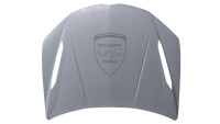 Carbon Front Bonnet Original For Lamborghini Urus Performante 