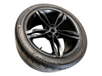 Complete Rear Wheel 
