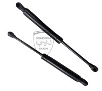 Ferrari Roma Gas Strut 