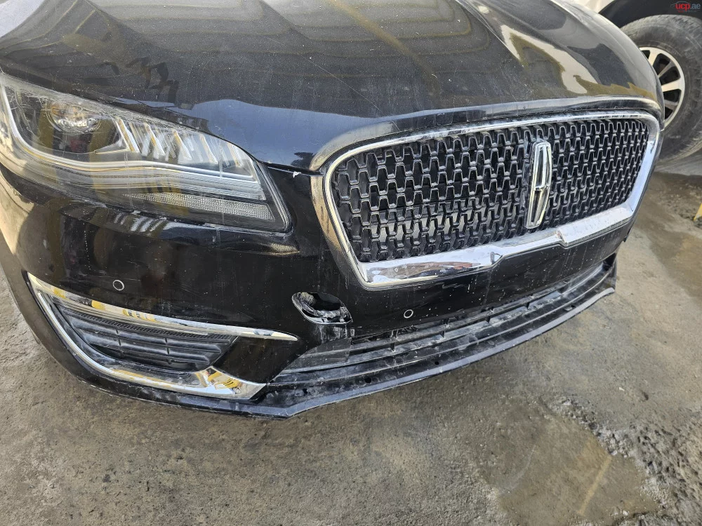 Nose Cut Lincoln Mkz
