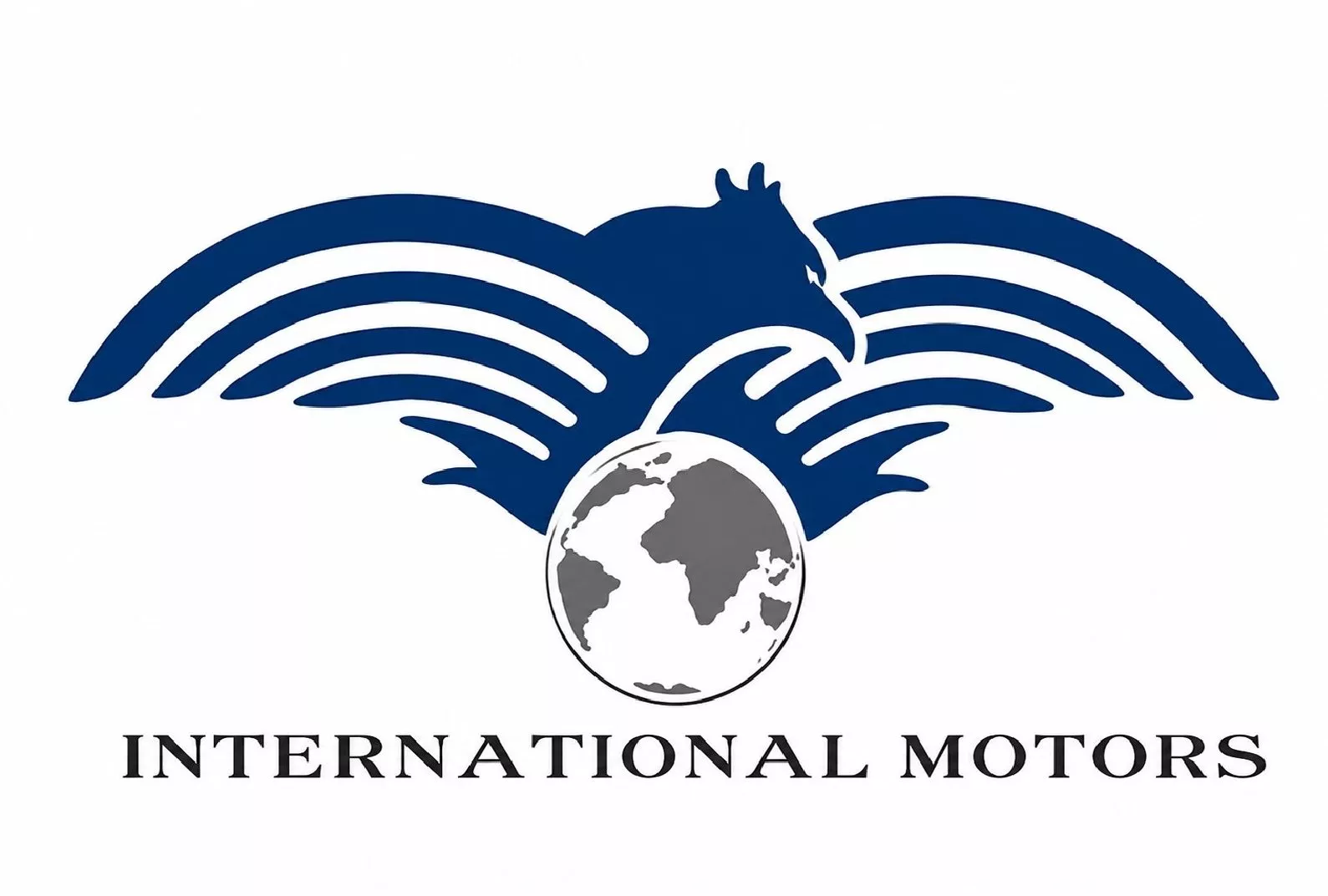 International Motor Used Auto Spare